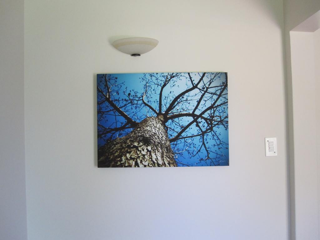 The Pecan Tree Guesthouse Сэндтон Экстерьер фото